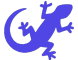 Lizard